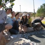 31109CD7-EF65-EAC7-2DD6-2DC88A10D9BB