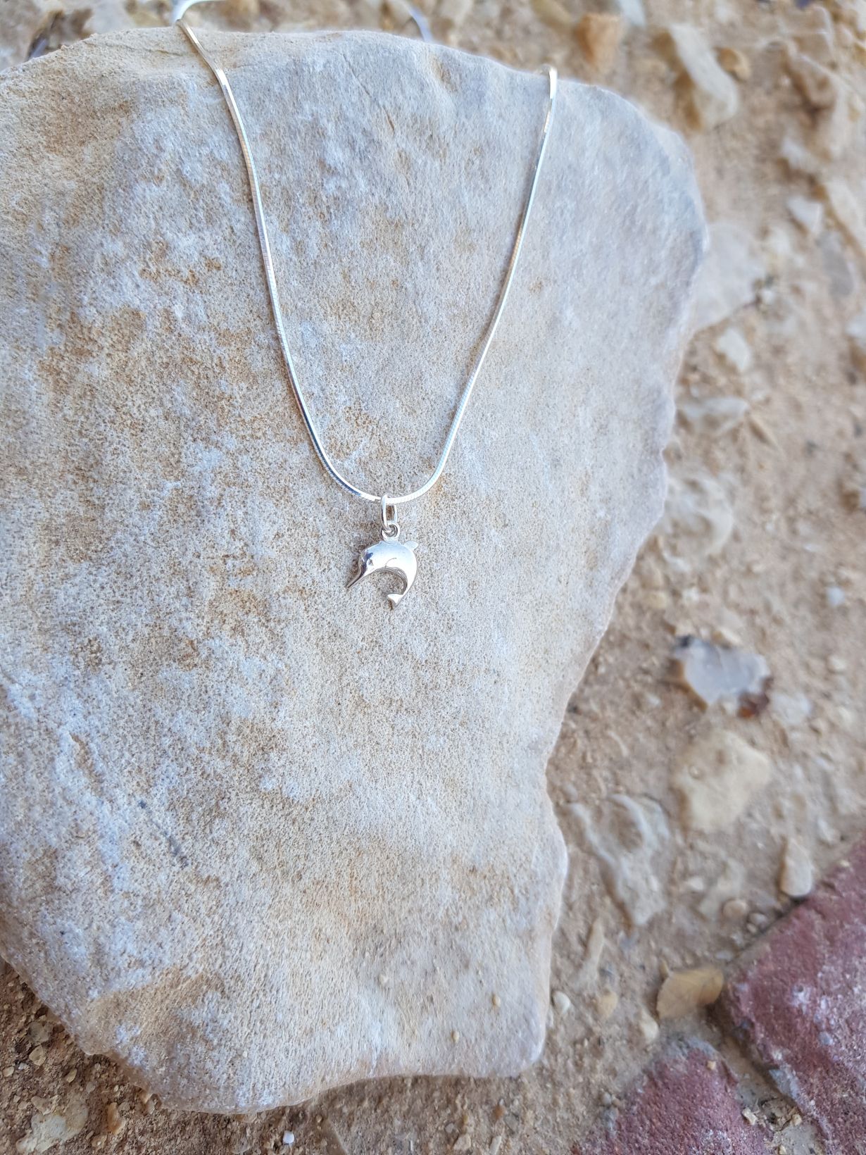 5009 מייה שרשרת כסף עם דולפין
